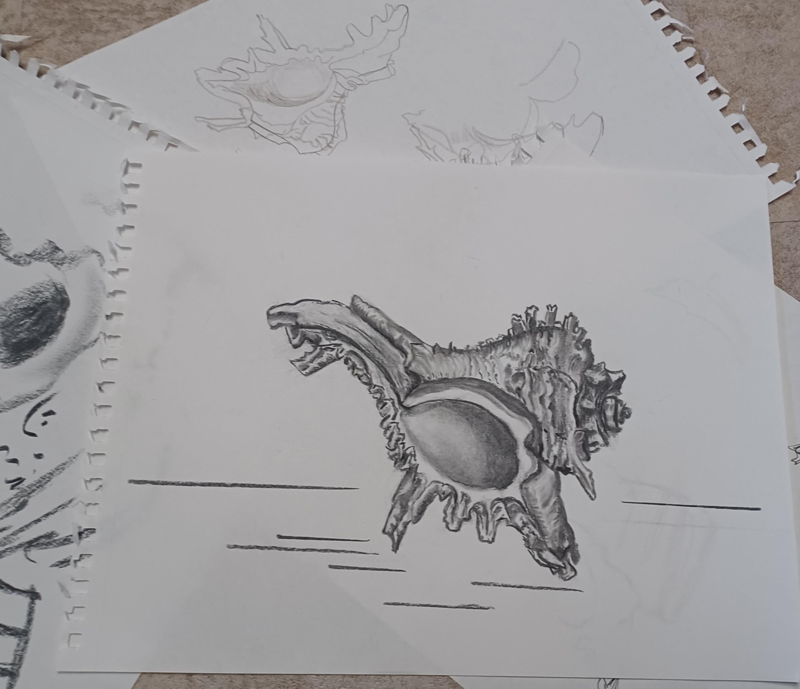 more-projects-from-class-img