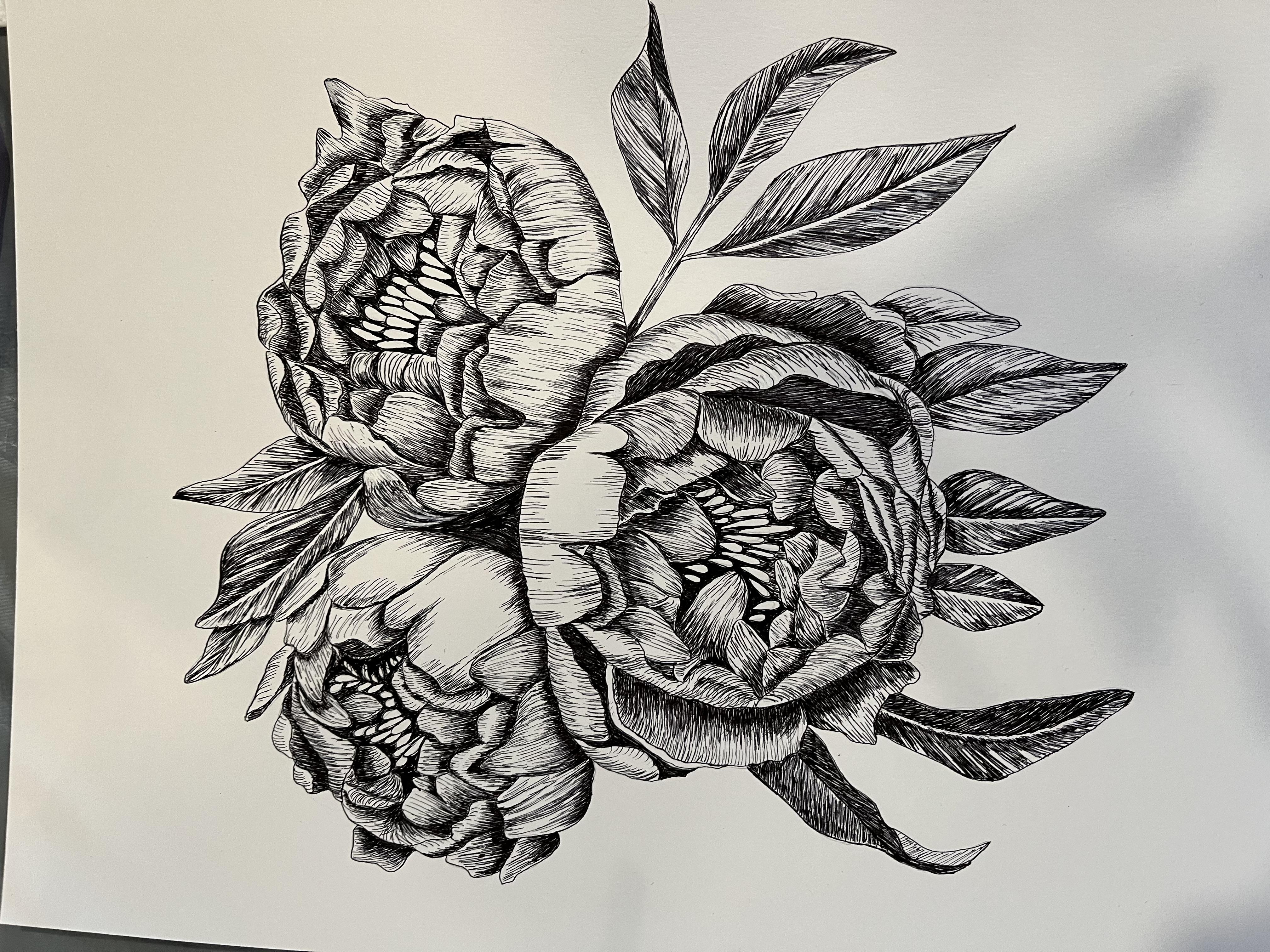 more-projects-from-class-img