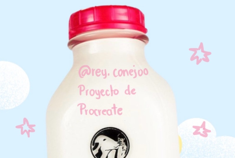 Proyecto Lemu