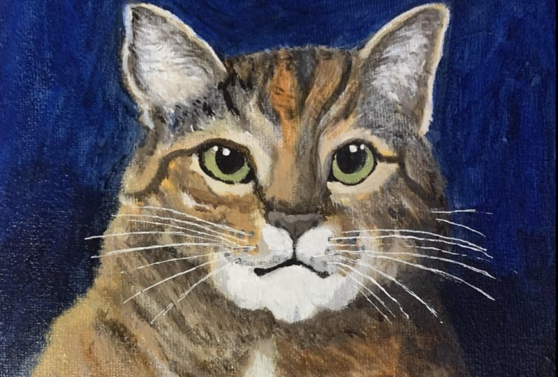 tabby
