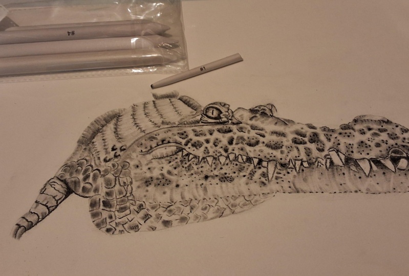 Croc