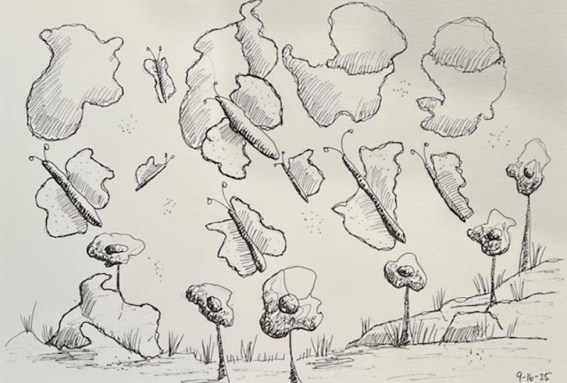 Squiggles to butterflies