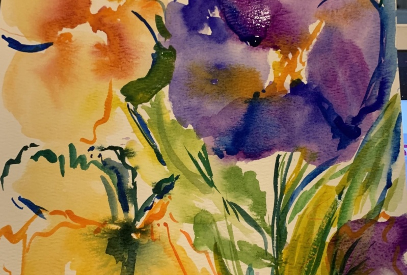 Purple and Yellow Iris