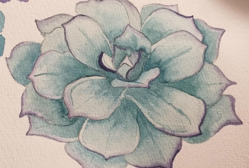 Succulent Watercolor