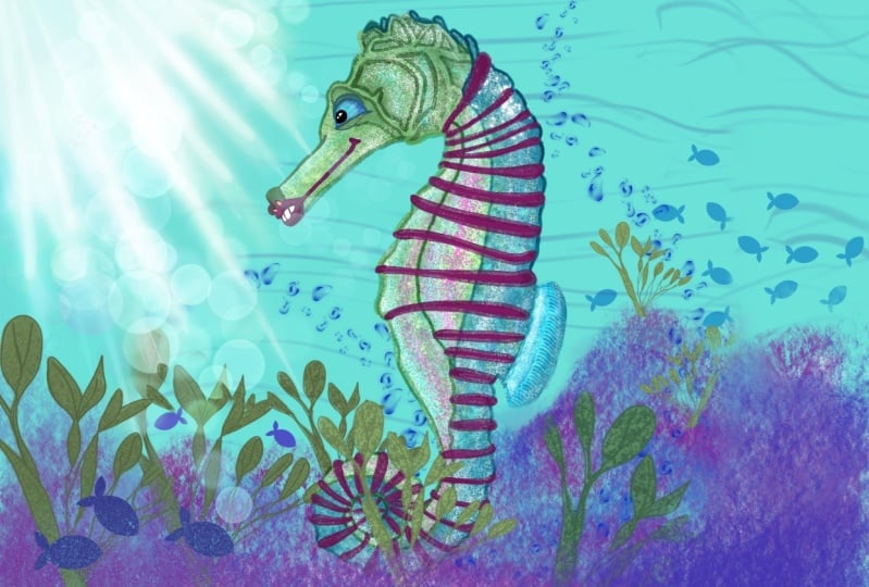 Polo, the Seahorse