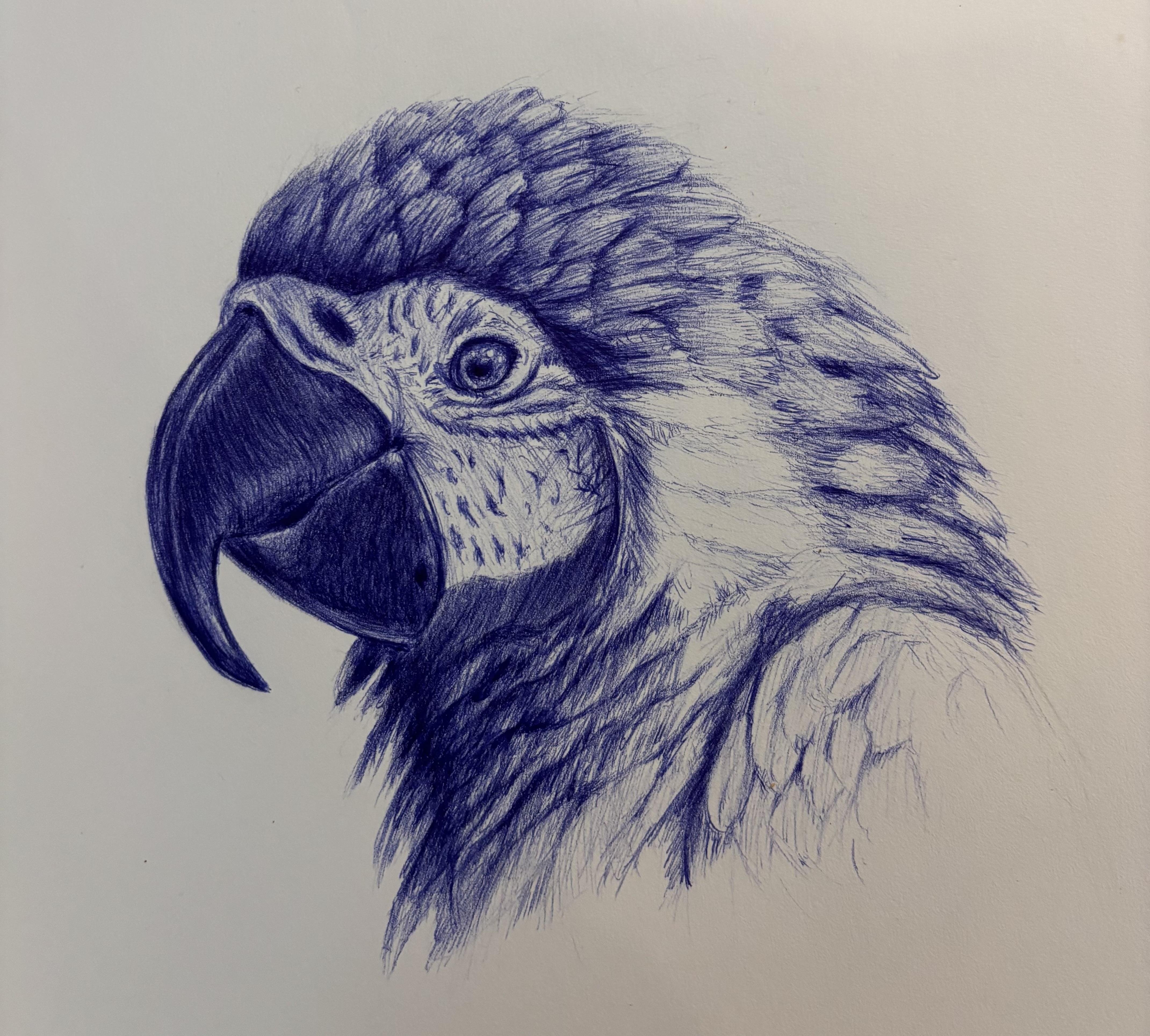 more-projects-from-class-img