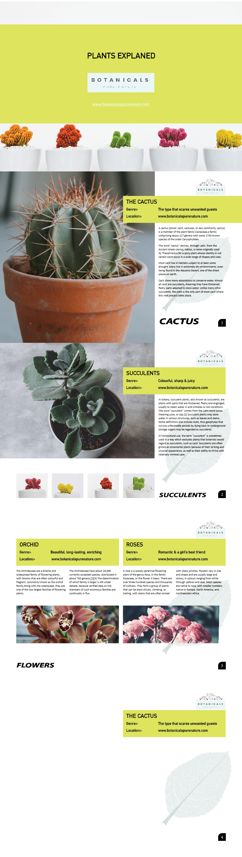 more-projects-from-class-img