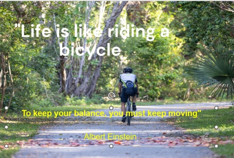 Bicycle