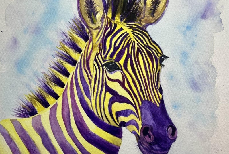 Off script zebra
