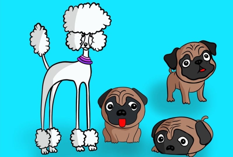 Ollie en pugs and a poodle!