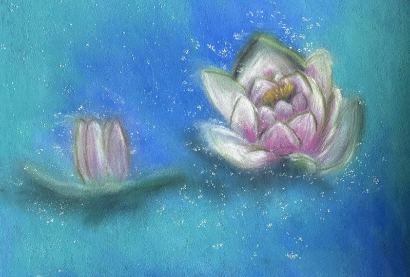 Lovely lily