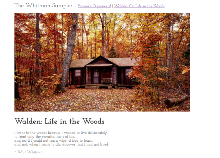 Created a Website after 11 years