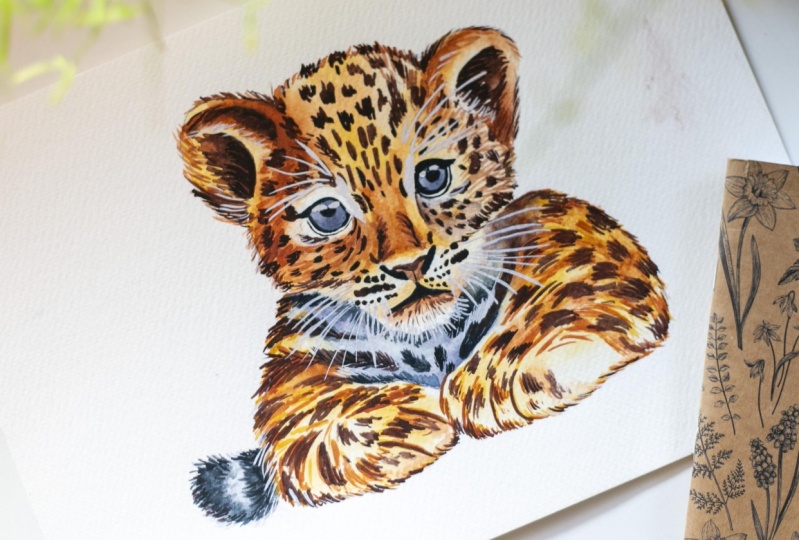 Tiger cub