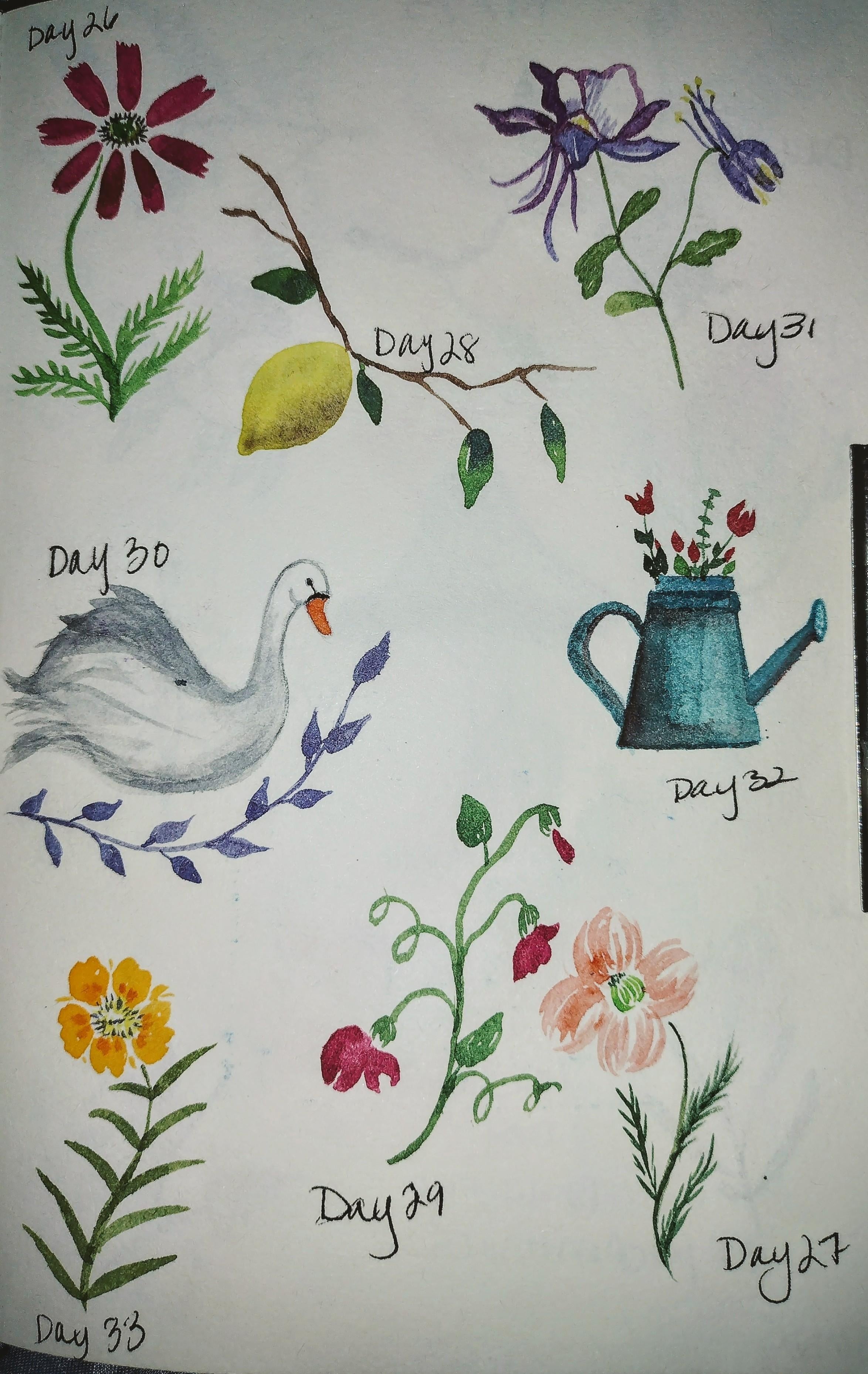 more-projects-from-class-img