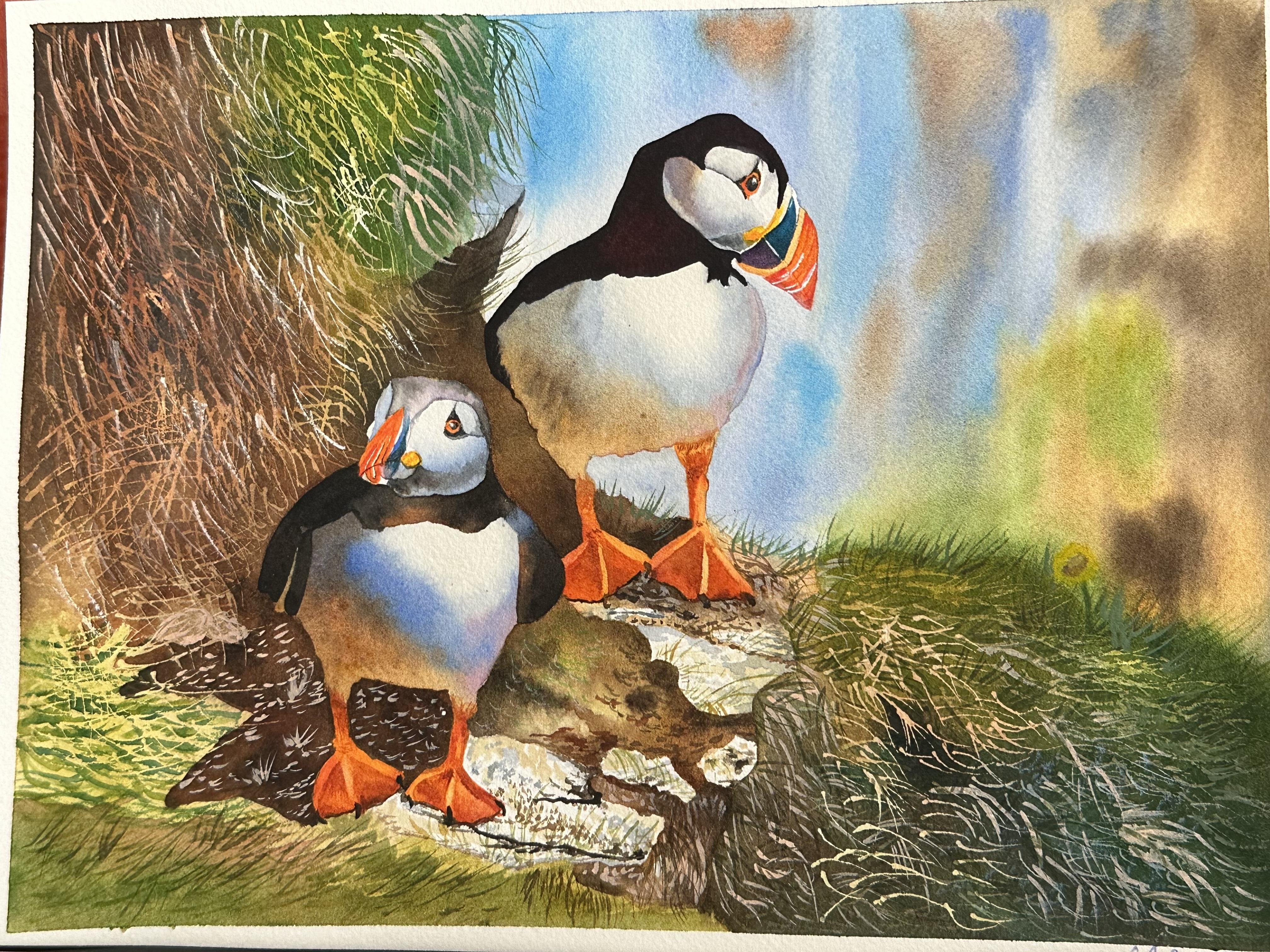 Puffins🌊😺🌊 - student project