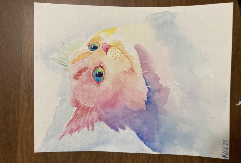 Rainbow Cat