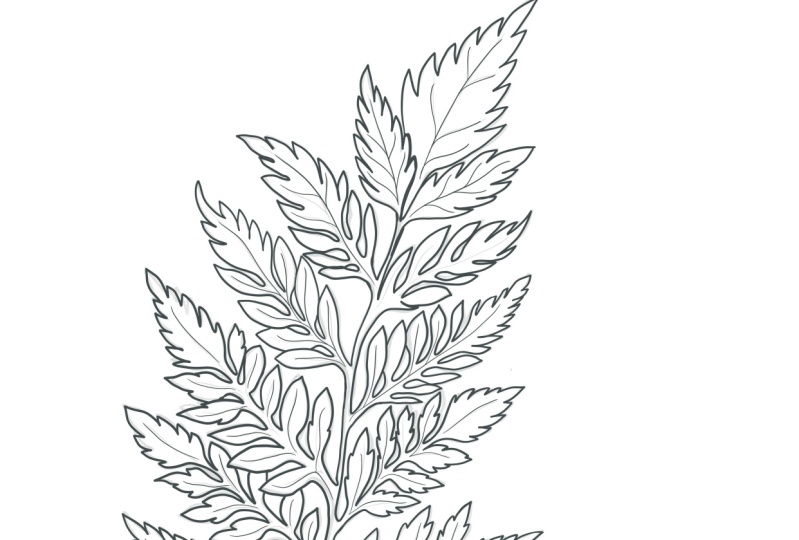 Saved Preset Sizes of Brush