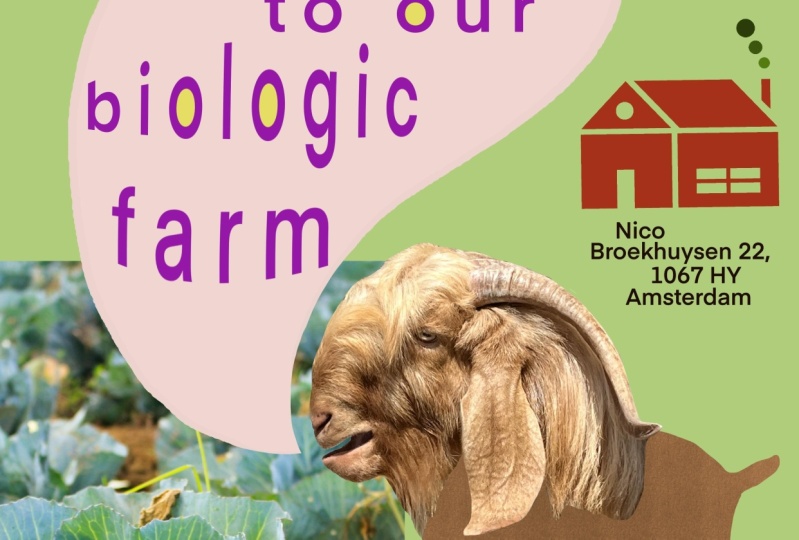 Goat farm advertising