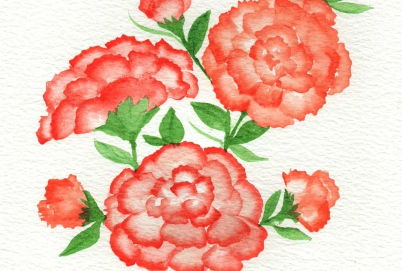 Carnation Bouquet