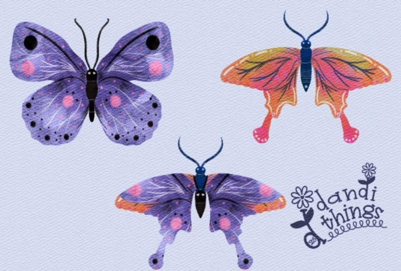 An Overall Superior Butterfly