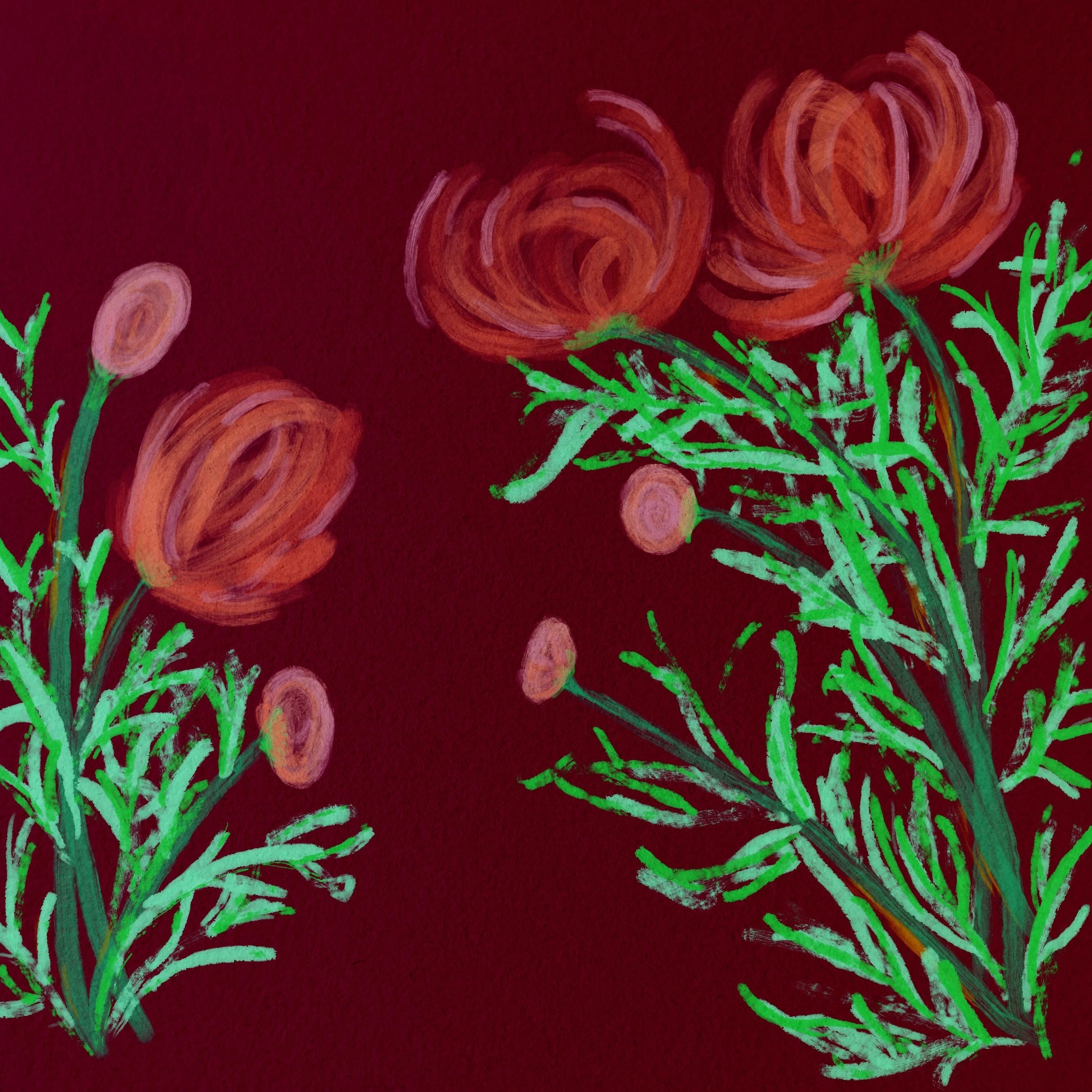 more-projects-from-class-img