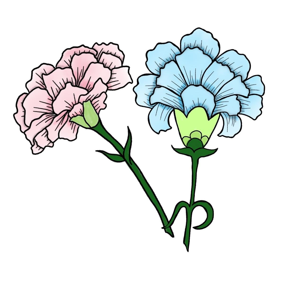 Carnations - student project