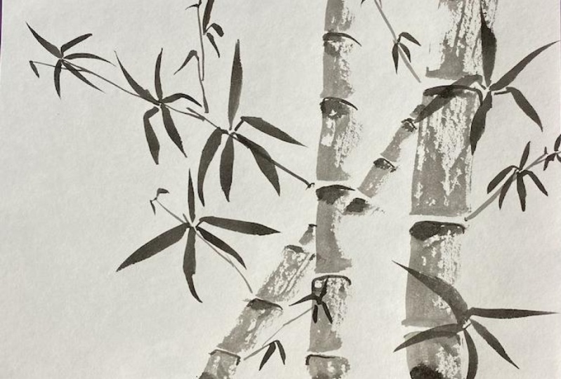 Beginner's Bamboo