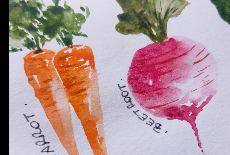 Easy Loose Watercolour Vegetables: Learn the Foundational Technique