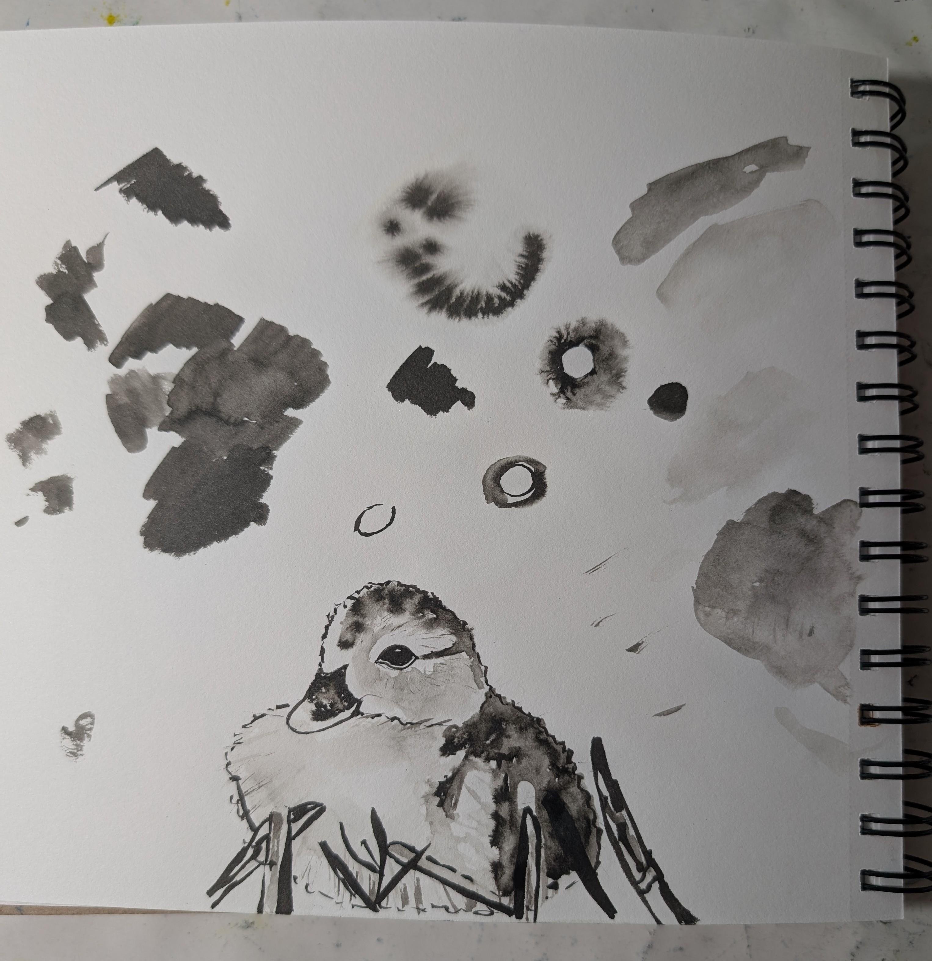 ink duck - student project