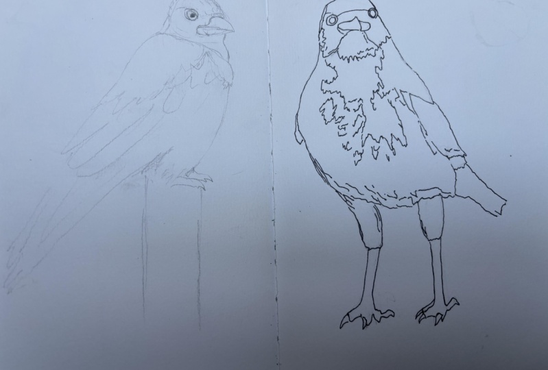 Sketchbook practice
