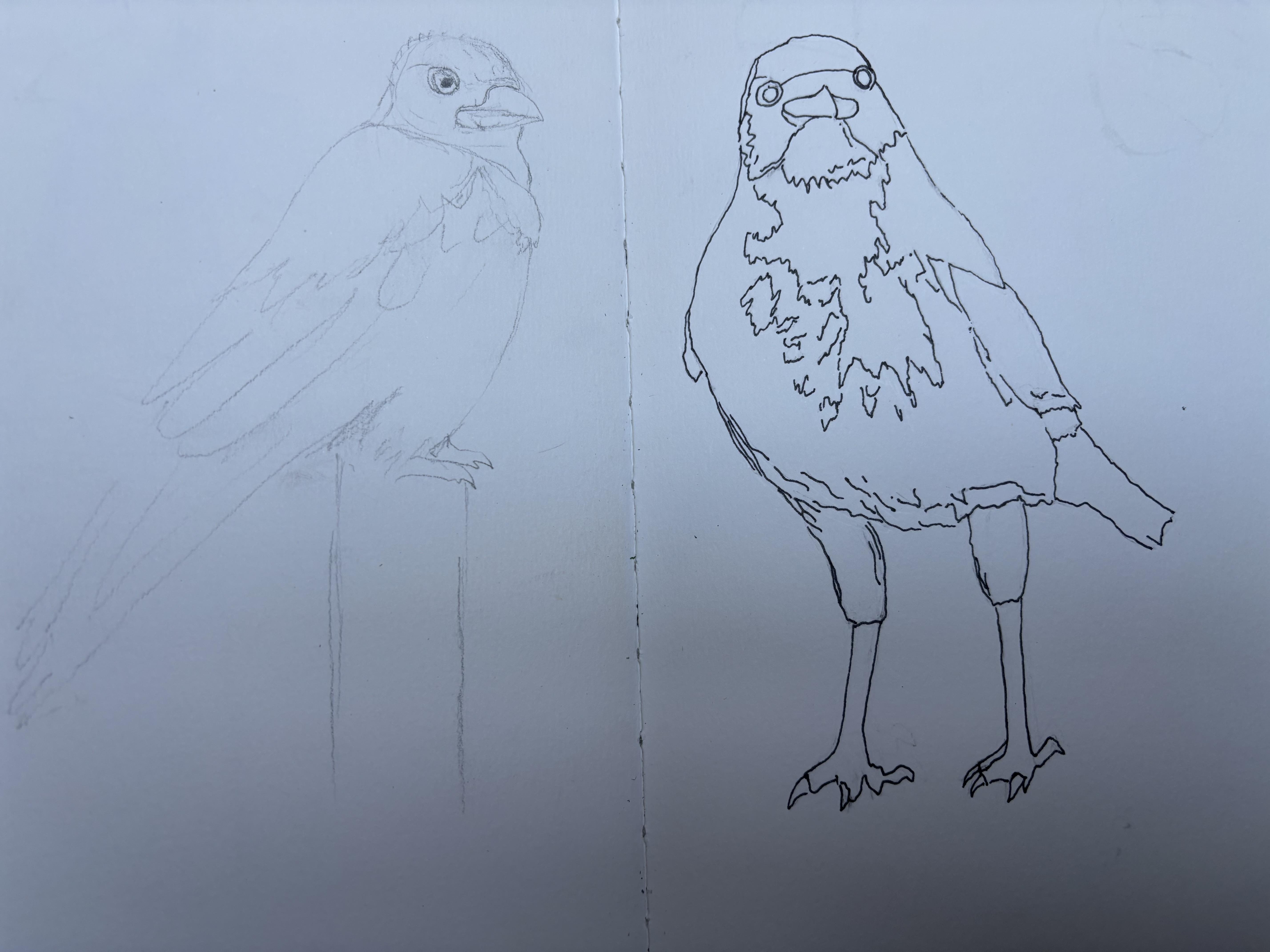 more-projects-from-class-img