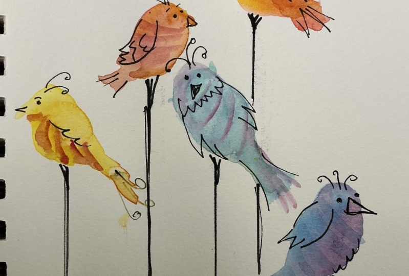 Quirky Birds
