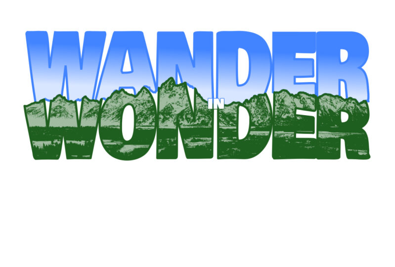 Wonder