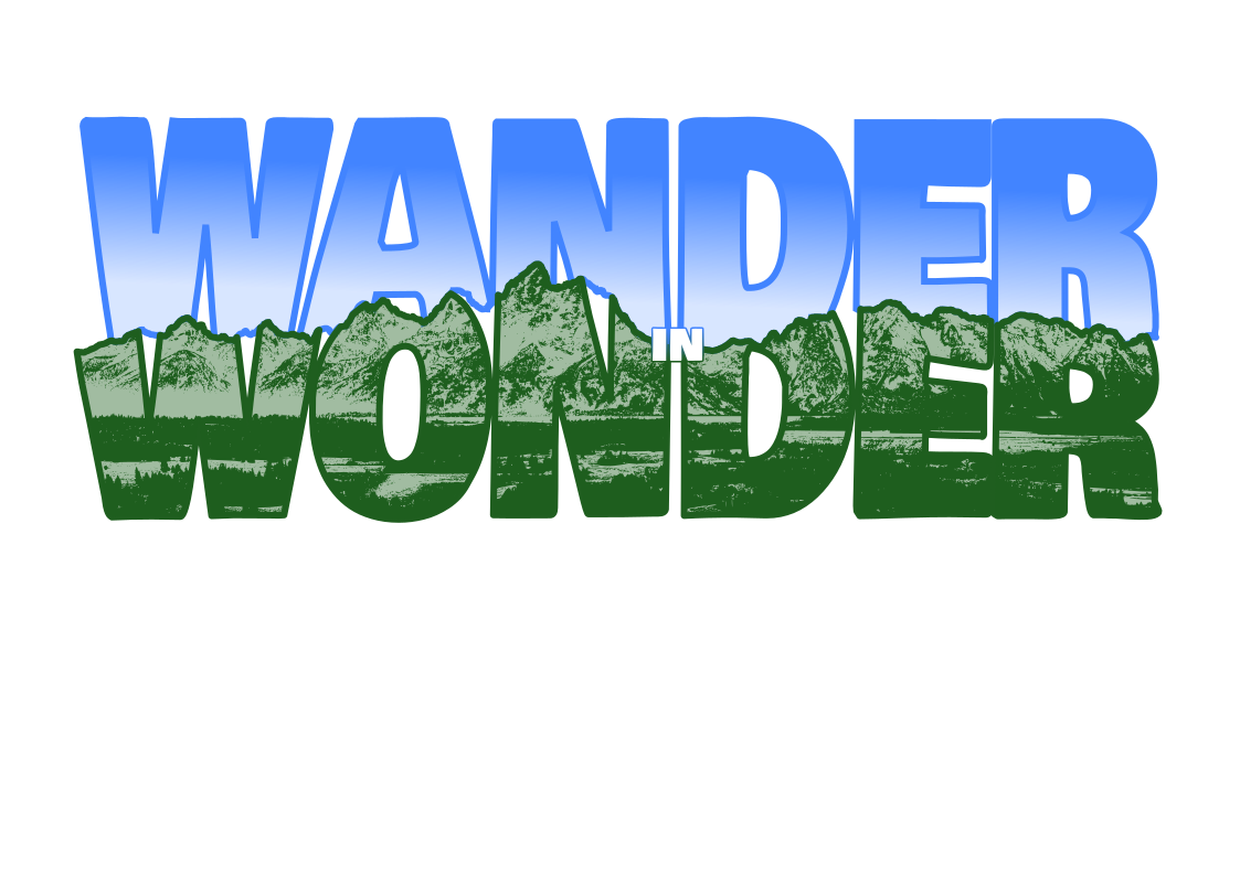 Wonder - student project