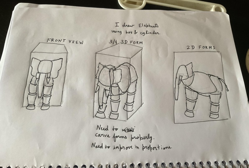 Elephant drawings using only box and cylinder forms. Also drew cute teddy bear.