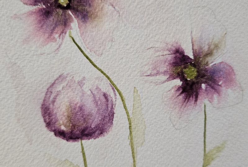 Flowers 092825