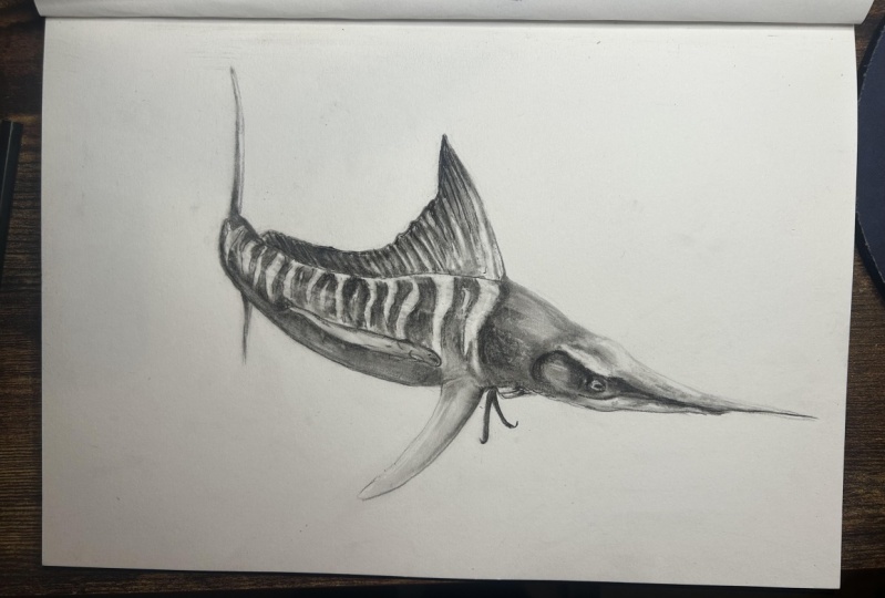 Marlin
