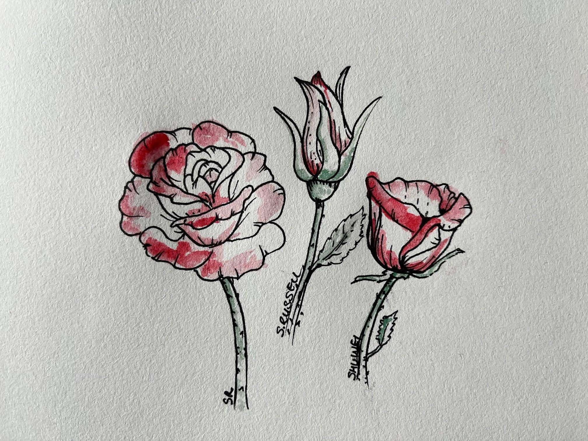 Rose - student project