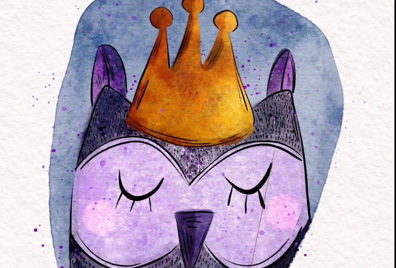 Cute Animal Illustrations