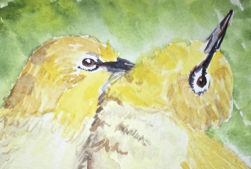 Lovebirds for Yana Shvets