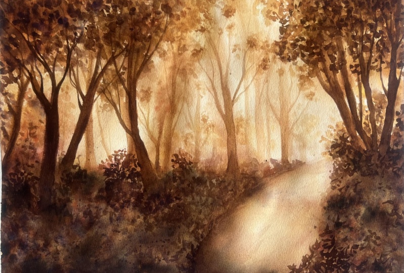 Into the woods