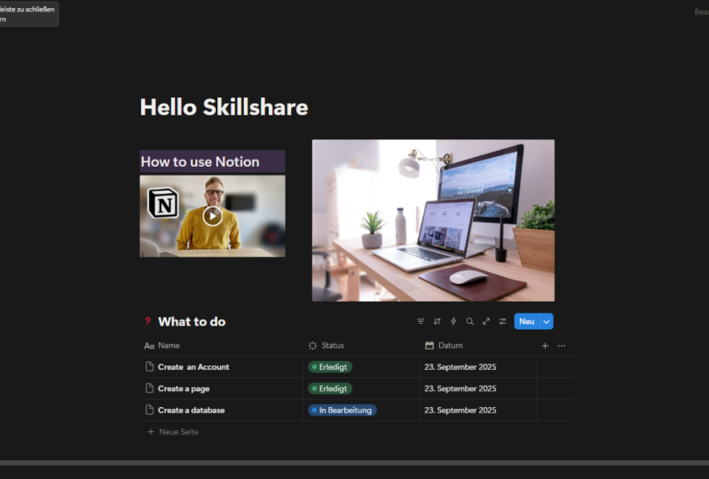 First steps with Notion