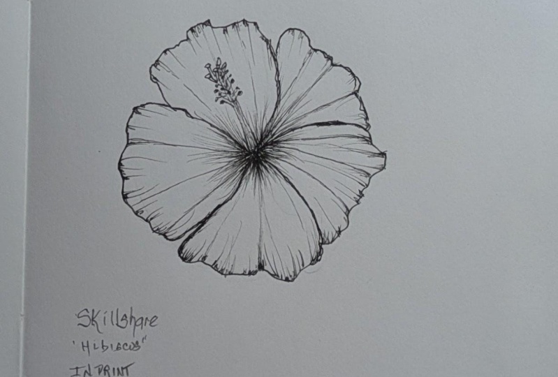Hibiscus