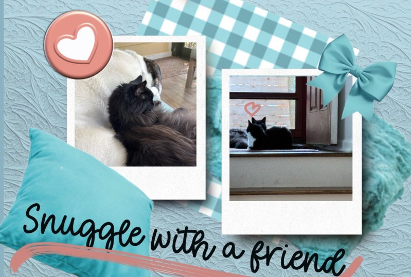 Snuggle with a friend!