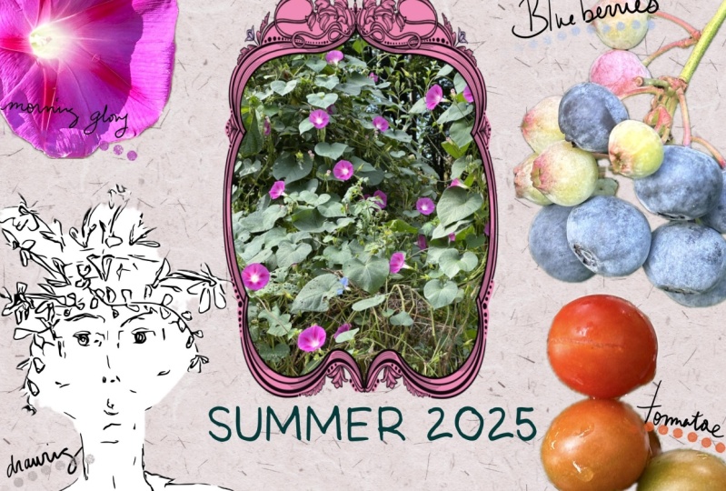 Digital journaling