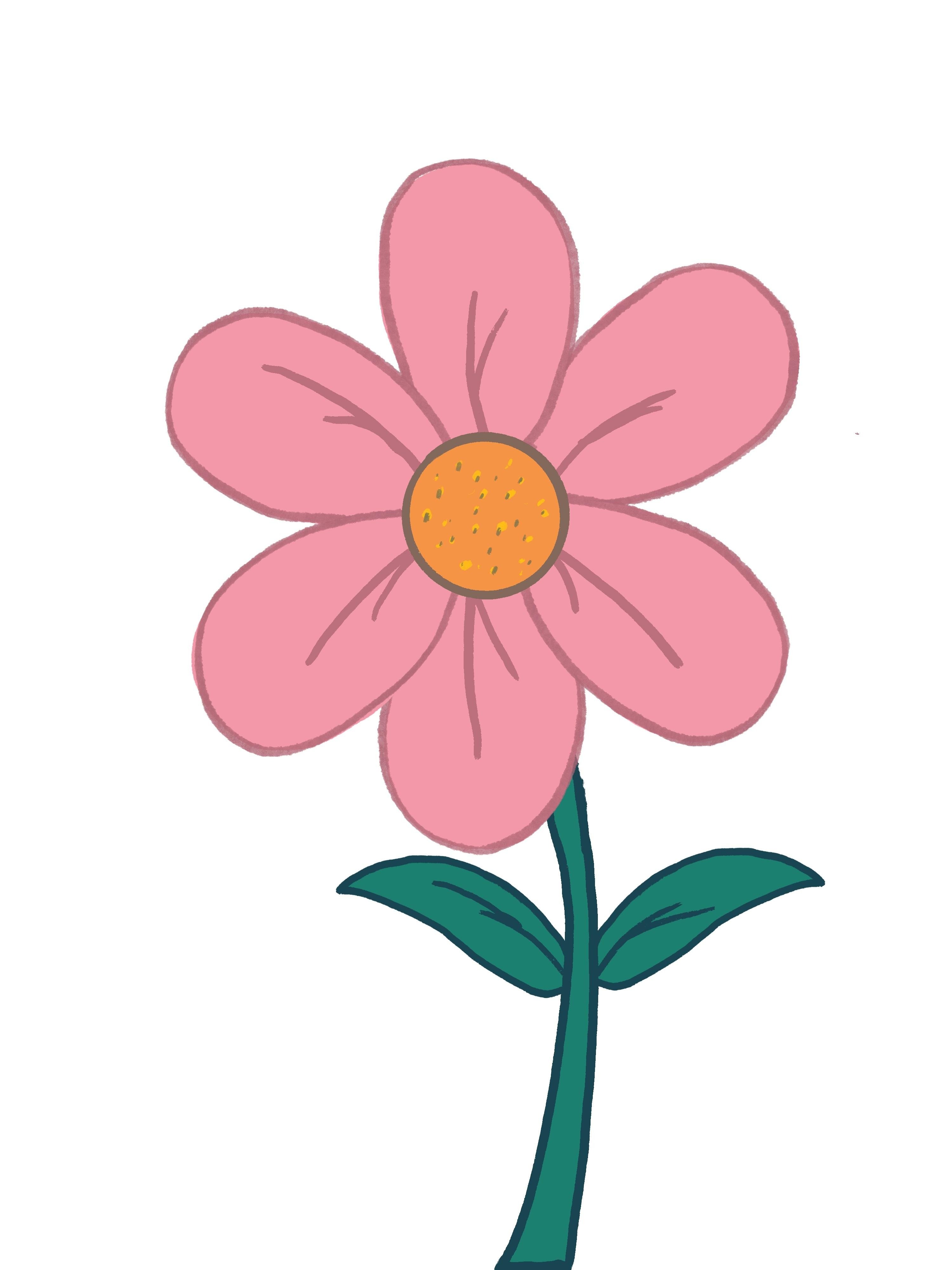 more-projects-from-class-img