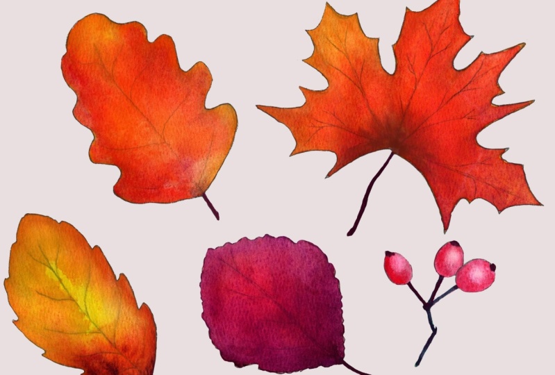 Autumn Leaves
