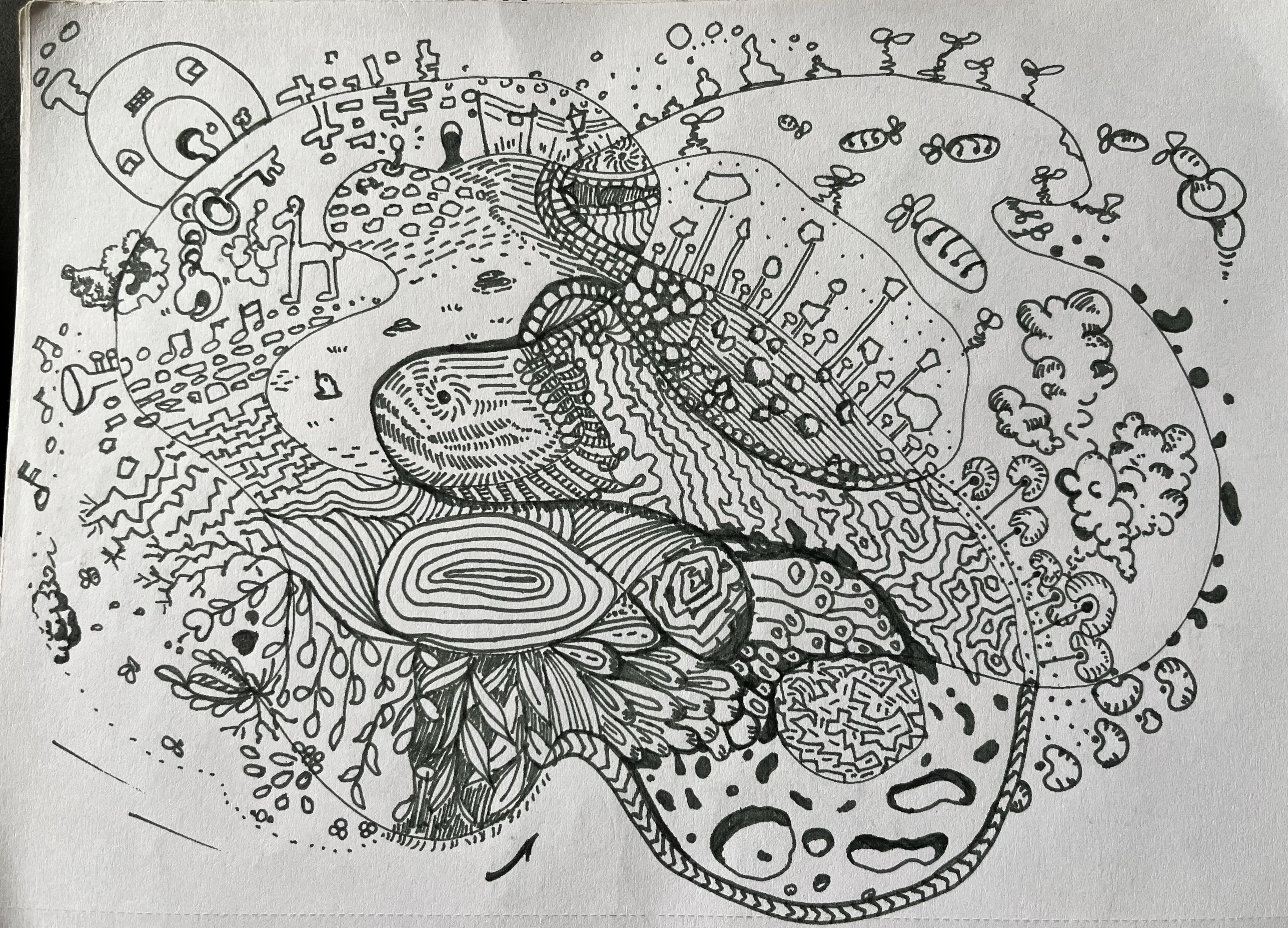 more-projects-from-class-img