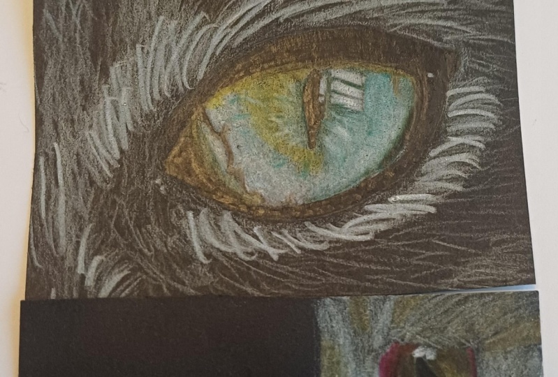 Cats eye