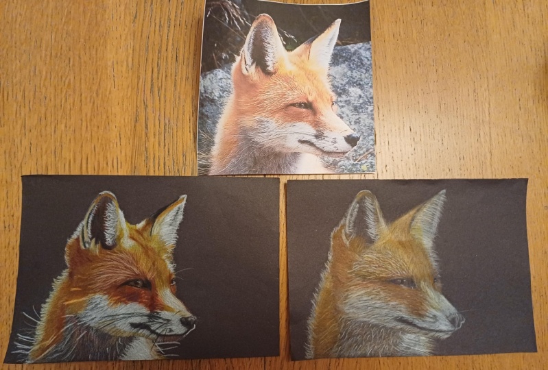 Fox